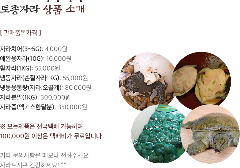 [ 토종자라가격 ]자라치어(3~5g): 4,000원	애완용자라(10g): 10,000원 / 활자라(1kg): 55,000원 / 냉동자라(손질자라1kg): 55,000원 / 냉동용봉탕(자라.오골계): 80,000원 / 자라분말(1kg): 300,000원 / 자라즙(엑기스한달분): 350,000원 / ※ 모든제품은 전국택배 가능하며 100,000원 이상은 택배비가 무료입니다. 기타 문의사항은 메모나 전화주세요. 자라드시구 건강하세요! ^^